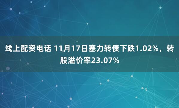 线上配资电话 11月17日塞力转债下跌1.02%，转股溢价率23.07%